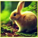 animales 2 8
