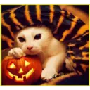 animales 2 26