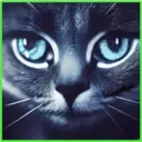 animales 5