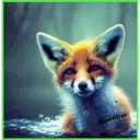 animales 29