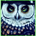 animales 22