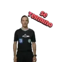 árbitro frase 29