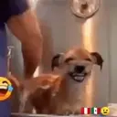 clásicos variaditos .mov 16
