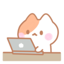 Kitten Kitkat 25