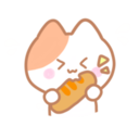 Kitten Kitkat 21