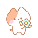 Kitten Kitkat 11