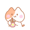 Kitten Kitkat 5