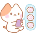 Kitten Kitkat 28