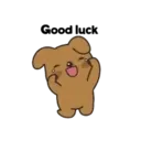 Perrito 4