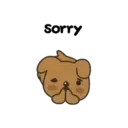 Perrito 21