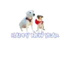 Año Nuevo 2023 17