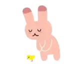 RaBbIT SoO (Mov) 9