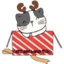 Cat ️ Bunny 29