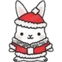 Cat ️ Bunny 20