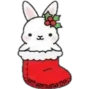 Cat ️ Bunny 13