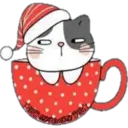 Cat ️ Bunny 12