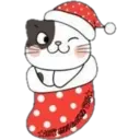 Cat ️ Bunny 6