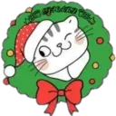 Cat ️ Bunny 23