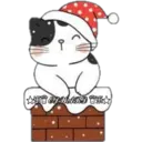 Cat ️ Bunny 5