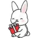 Cat ️ Bunny 8