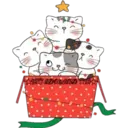 Cat ️ Bunny 19