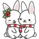 Cat ️ Bunny 27