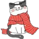 Cat ️ Bunny 21