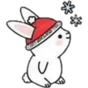 Cat ️ Bunny 30