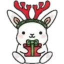 Cat ️ Bunny 2