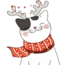 Cat ️ Bunny 16