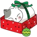 Cat ️ Bunny 26