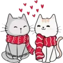 Cat ️ Bunny 14