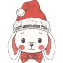 Cat ️ Bunny 22