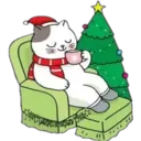 Cat ️ Bunny 17