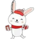 Cat ️ Bunny 25