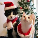 Mascotas en navidad 25