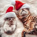 Mascotas en navidad 13