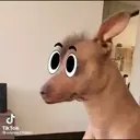 ️Tik tok mov 4 ️ 16