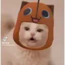 ️Tik tok mov 4 ️ 15