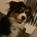 ️Tik tok mov 4 ️ 20