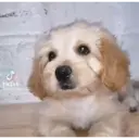 ️Tik tok mov 4 ️ 3