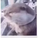 ️Tik tok mov 4 ️ 1