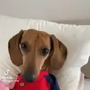 ️Tik tok mov 4 ️ 9