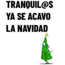 fiestas navideñas 2022 1 Movi 15