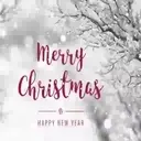 [MERRY XMAS] ️ 8