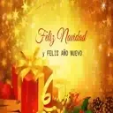 [MERRY XMAS] ️ 28