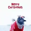 [MERRY XMAS] ️ 25