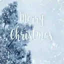 [MERRY XMAS] ️ 4