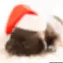 [MERRY XMAS] ️ 1