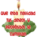 Blanca Navidad Clásica 24